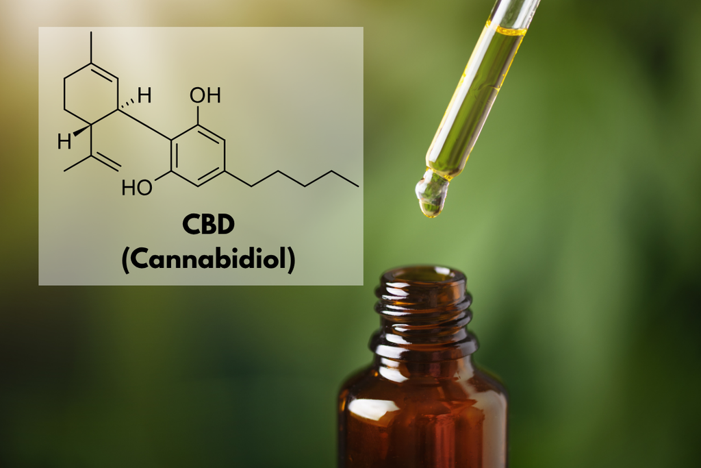 Curious About CBD? Here's What You Need to Know